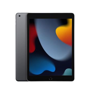APPLE IPAD 10.2" WI-FI + CELLULAR 256GB SPACE GREY