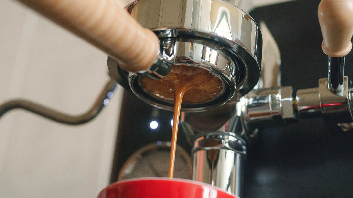 Sage The Bambino Máquina de Café Expresso Compacta com Vaporizador ThermoJet