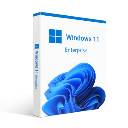 Microsoft Windows 11 Enterprise